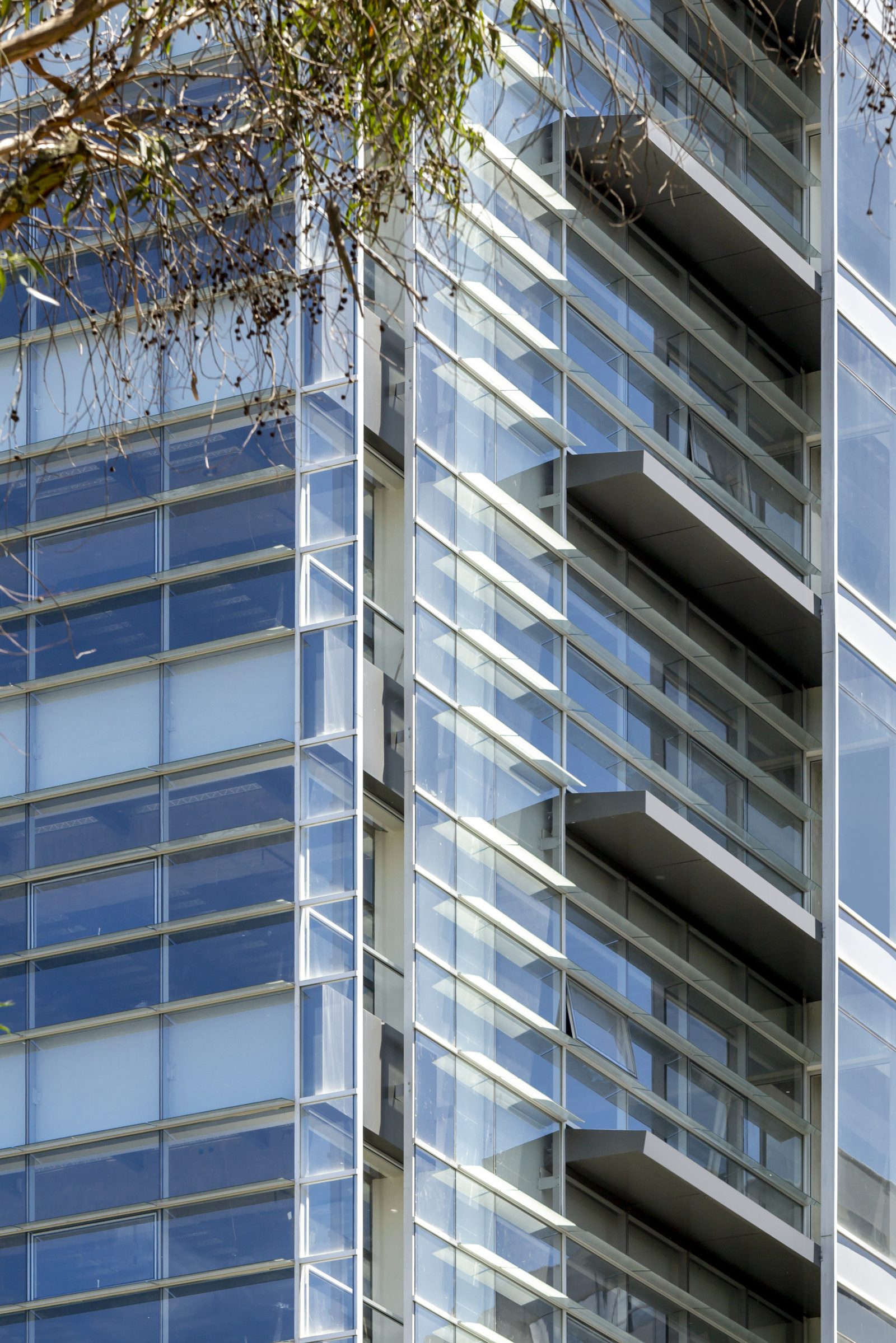 Strata